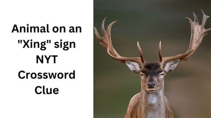 Animal on an “Xing” sign Crossword Clue