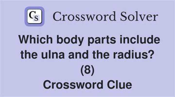 Bone that parallels the radius Crossword Clue