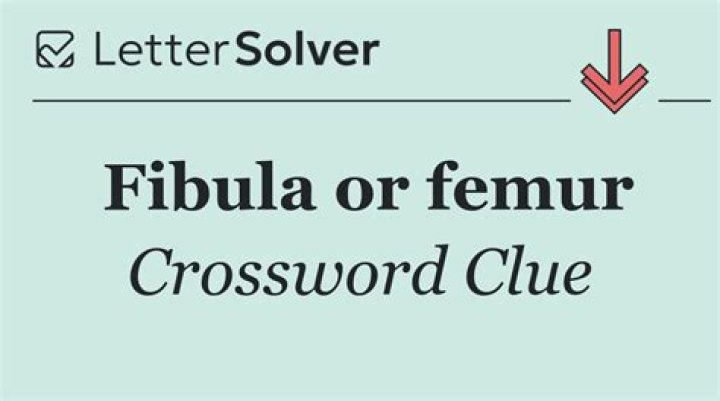 Femur or fibula Crossword Clue