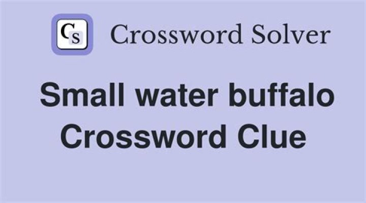 Water buffalo, for one Crossword Clue