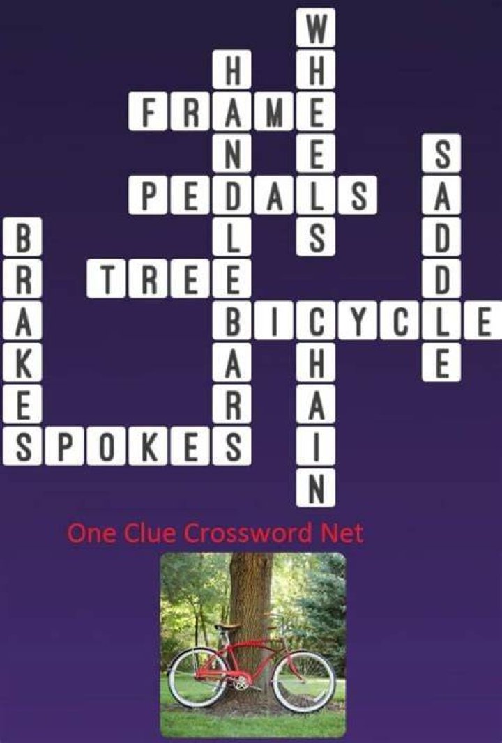 Word with memory or bike Crossword Clue